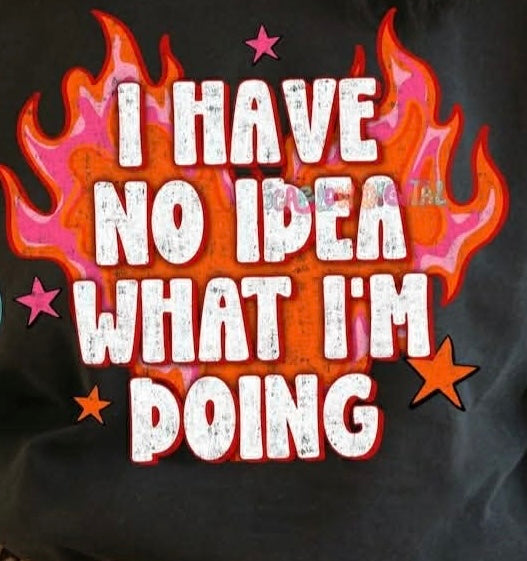 I have no idea what I'm doing