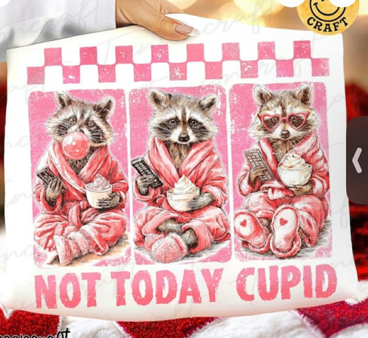 Not Today Cupid