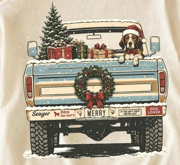 Pick up truck
