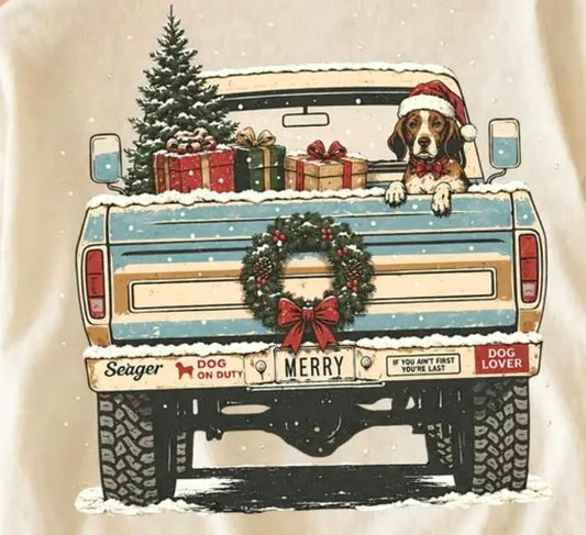 Pick up truck