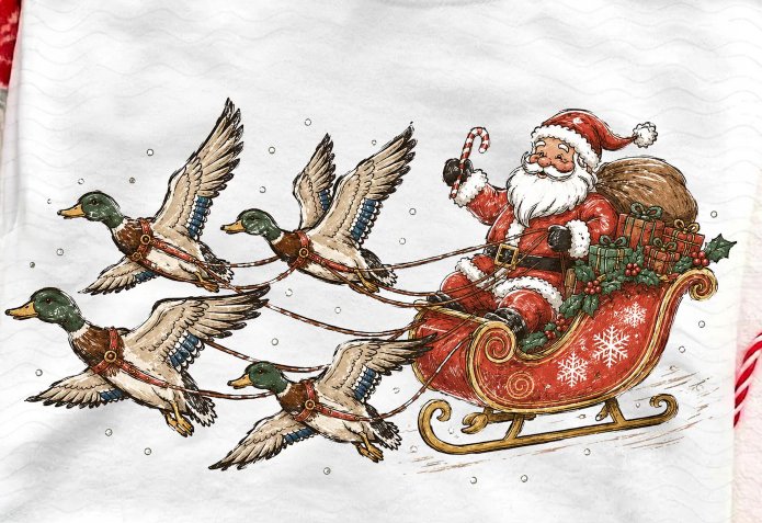 Santa with Ducks
