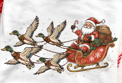 Santa with Ducks