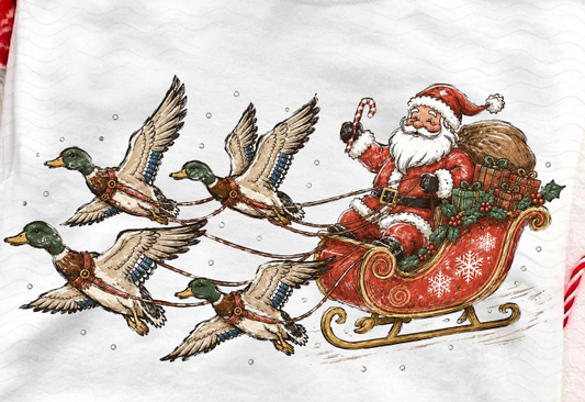 Santa with Ducks